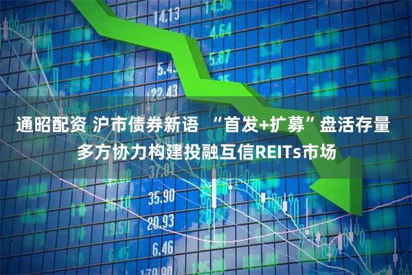通昭配资 沪市债券新语  “首发+扩募”盘活存量 多方协力构建投融互信REITs市场