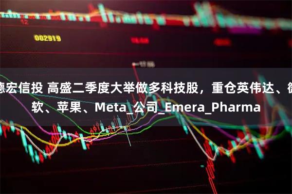 德宏信投 高盛二季度大举做多科技股，重仓英伟达、微软、苹果、Meta_公司_Emera_Pharma