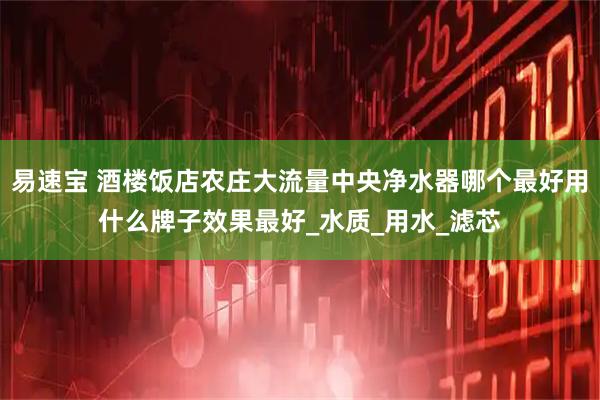 易速宝 酒楼饭店农庄大流量中央净水器哪个最好用什么牌子效果最好_水质_用水_滤芯