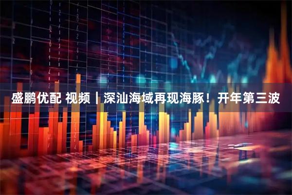 盛鹏优配 视频｜深汕海域再现海豚！开年第三波