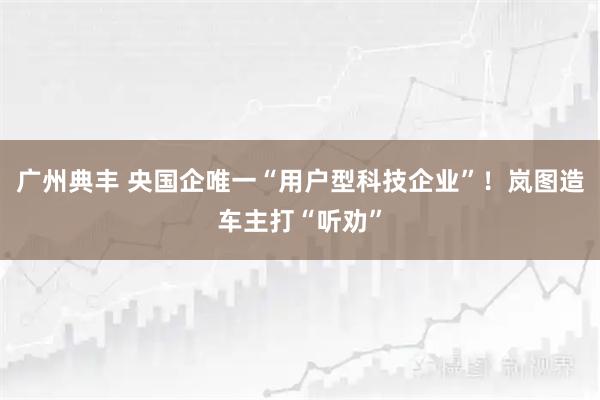 广州典丰 央国企唯一“用户型科技企业”！岚图造车主打“听劝”
