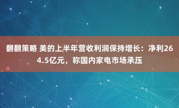 翻翻策略 美的上半年营收利润保持增长：净利264.5亿元，称国内家电市场承压