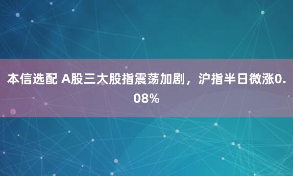 本信选配 A股三大股指震荡加剧，沪指半日微涨0.08%