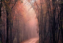 短线炒股怎样选股票:搞股票的app-工业母机赛道利好来袭 上半年净利润规模居前的概念股名单出炉